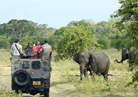 Package Image